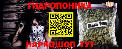 прущие грибы Нальчик