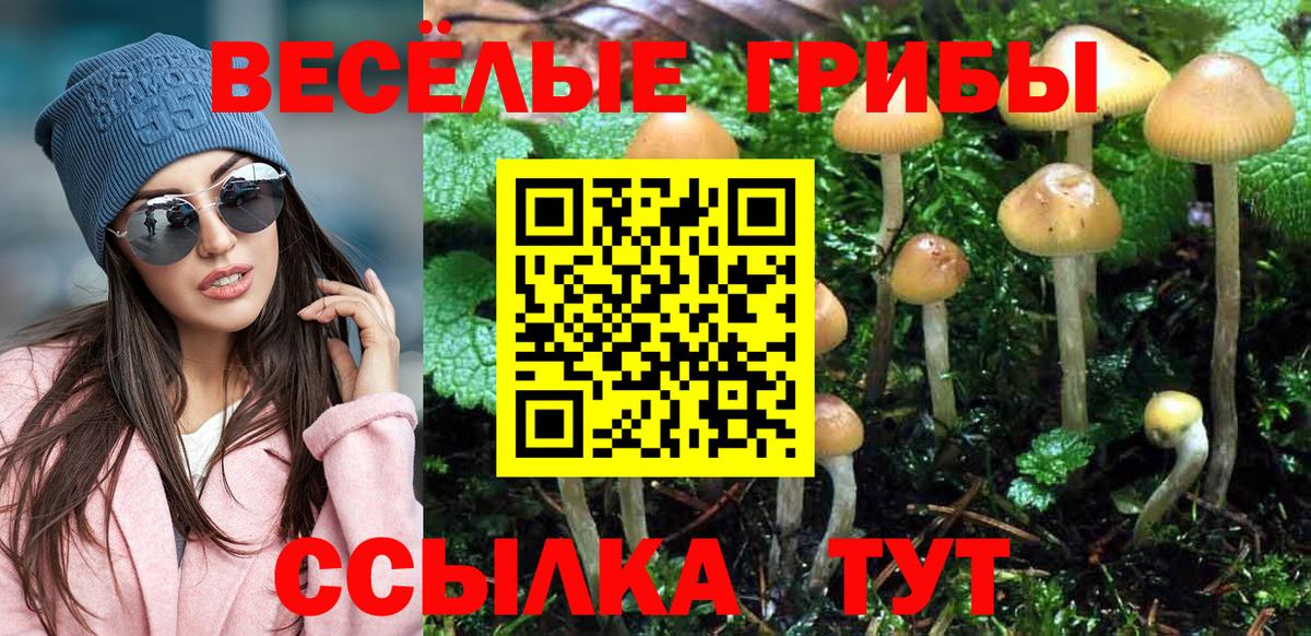 Ухта  Псилоцибиновые грибы GOLDEN TEACHER  Вход с VPN 
